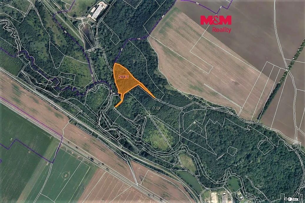 Prodej lesa 10077 m²